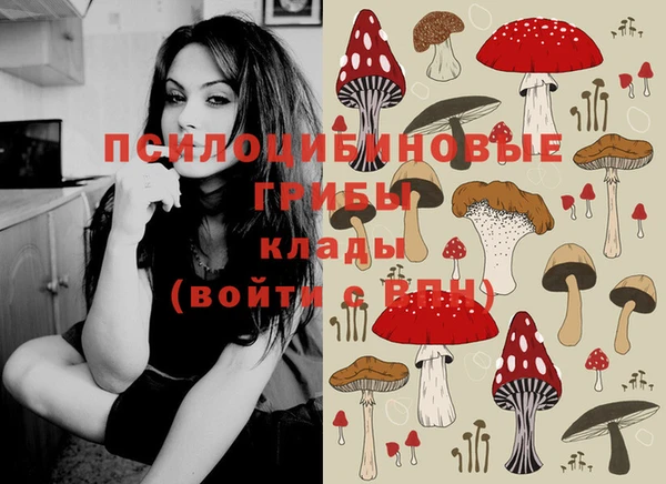 стафф Балахна