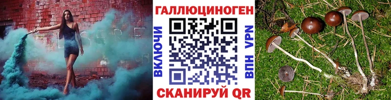 Галлюциногенные грибы MAGIC MUSHROOMS  Кяхта 